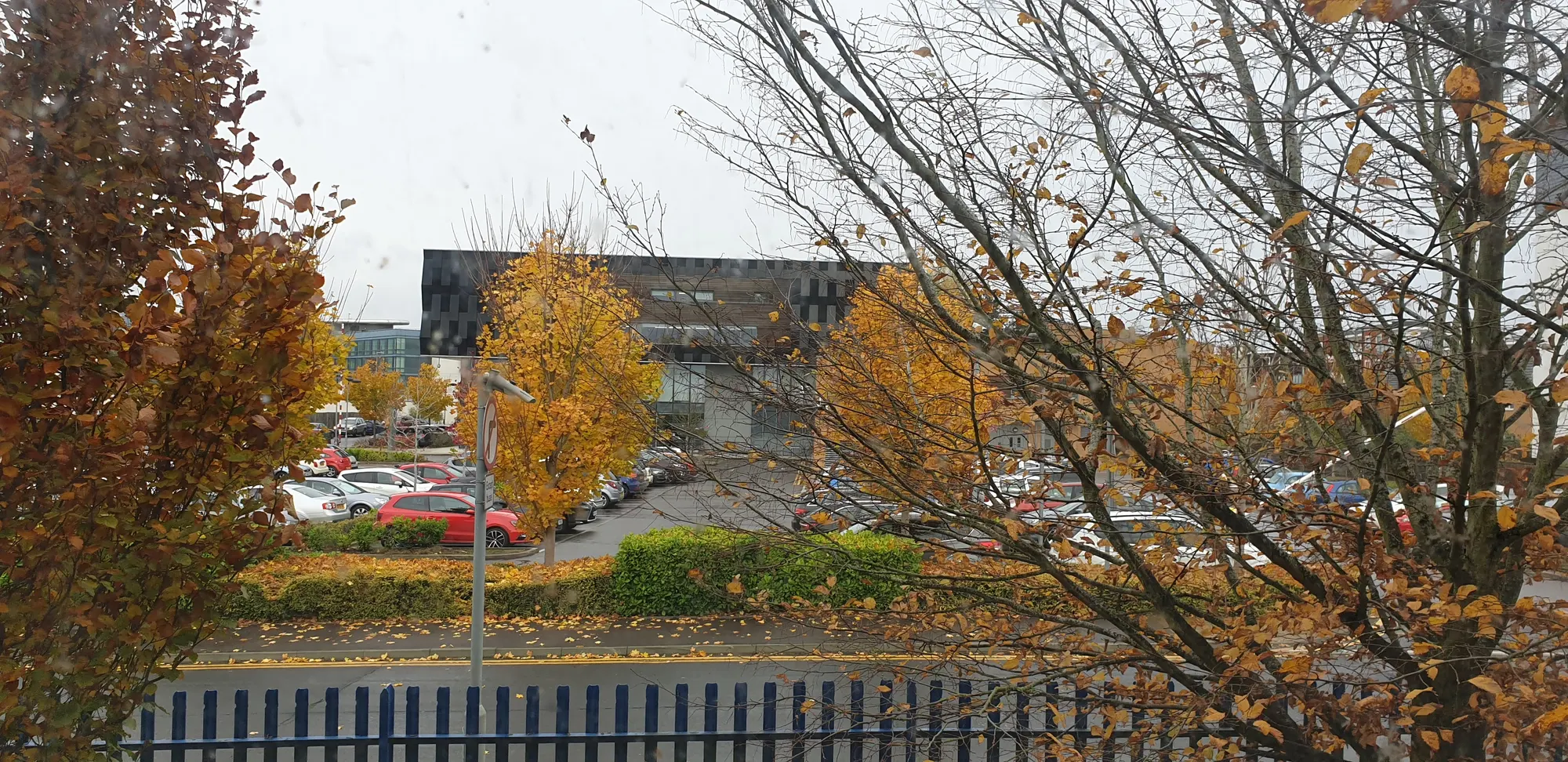 Circle Reading Hospital and Drake Way seen through autumn trees in 2019