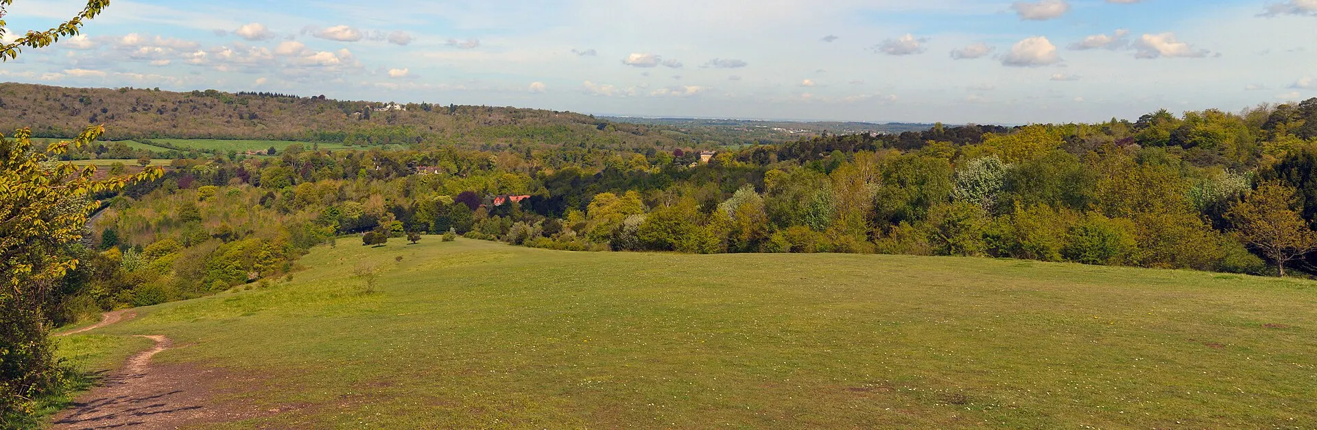 Spring view across Box Hill near Dorking in May 2018