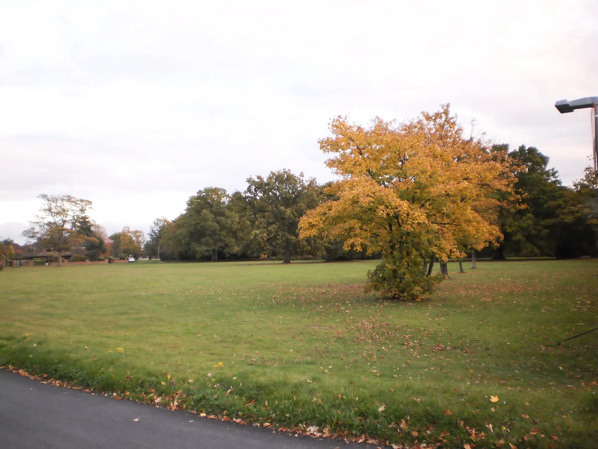 Autumn trees on Gerrards Cross Common in October 2011