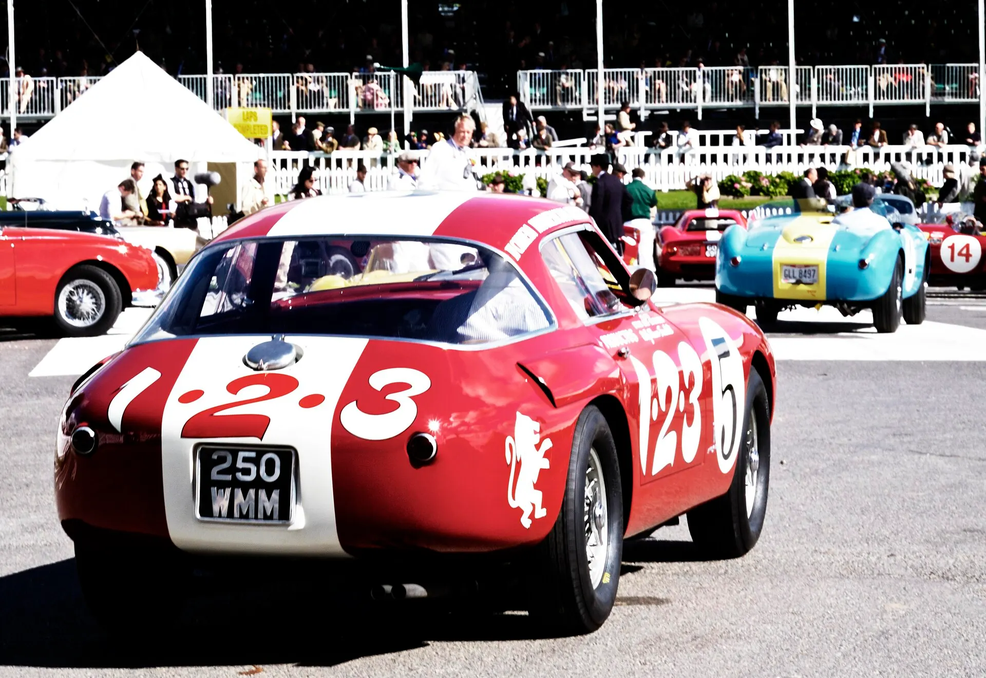 Vintage sports cars and spectators at Goodwood Revival