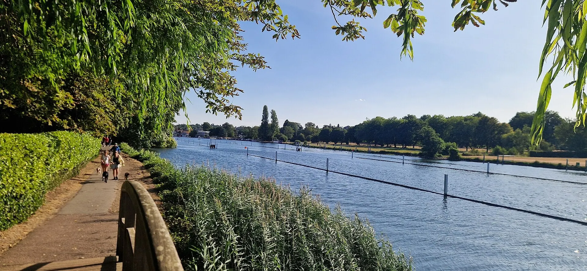 Riverside path and regatta course on the Thames at Henley in July 2026