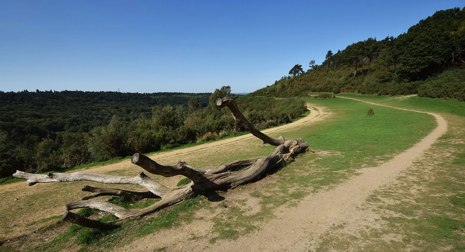 Devil's Punch Bowl landscape near Hindhead in September 2020