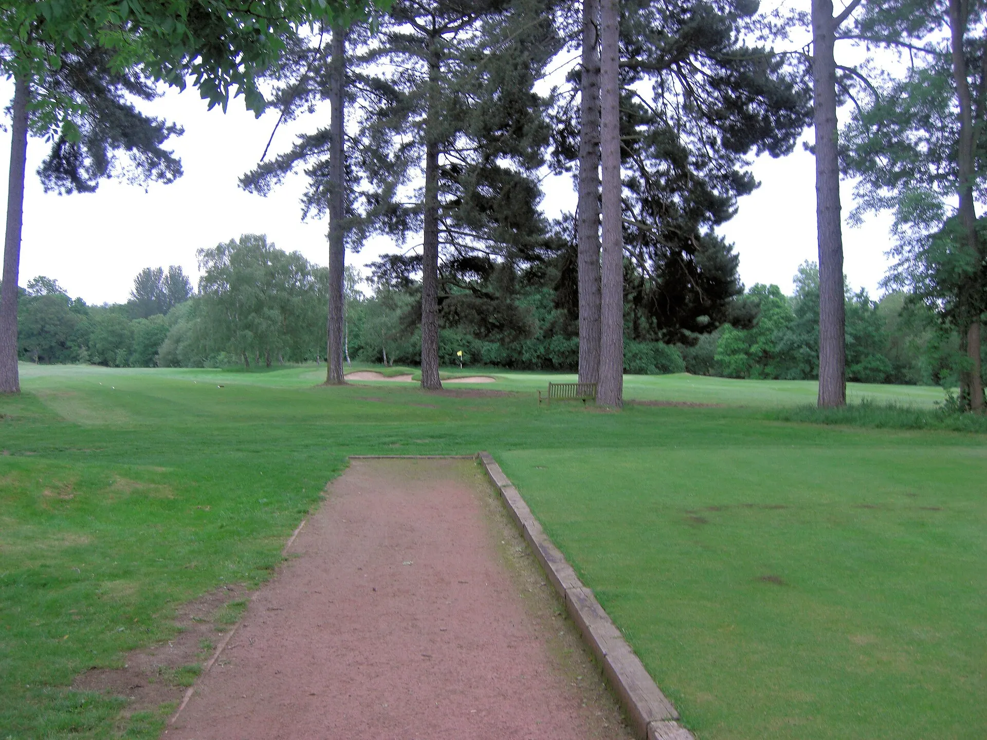 Sonning Golf Club fourth tee and third green among pine trees in June 2012
