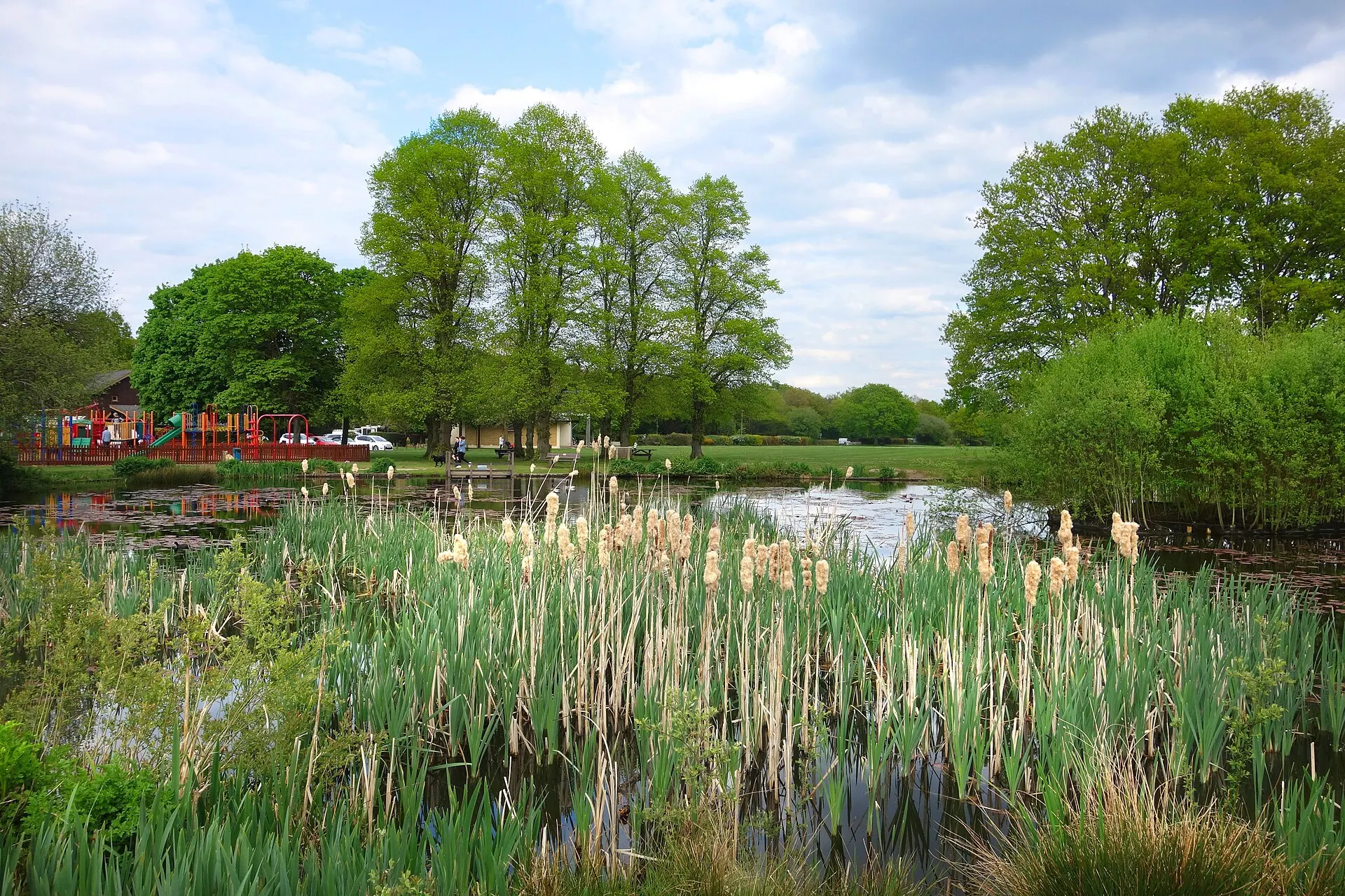 Pond on Yateley Green in April 2022